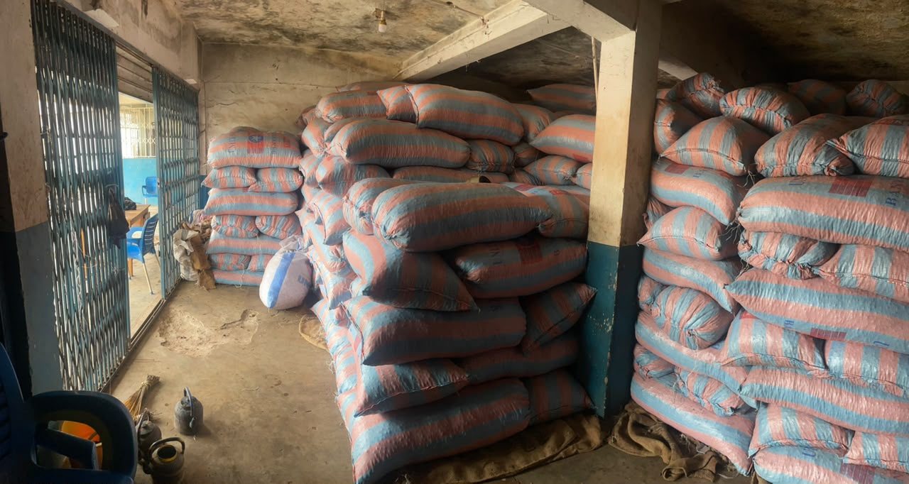  image of raw shea nuts in warehouse