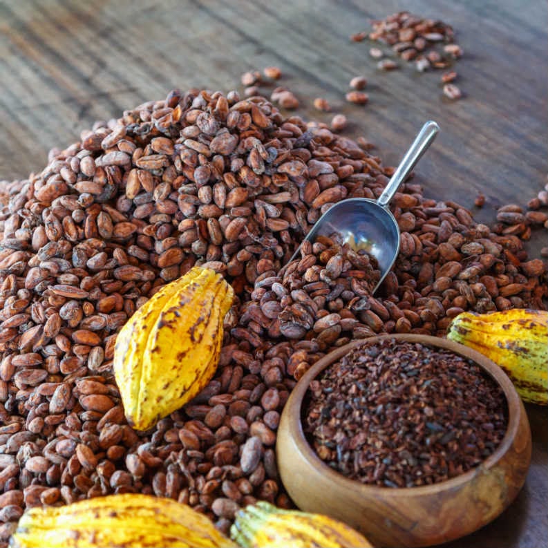 image of cocoa